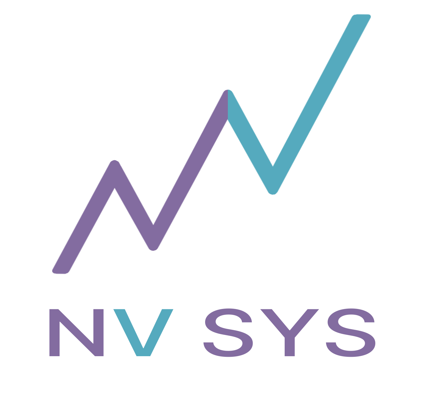 nvsys.io